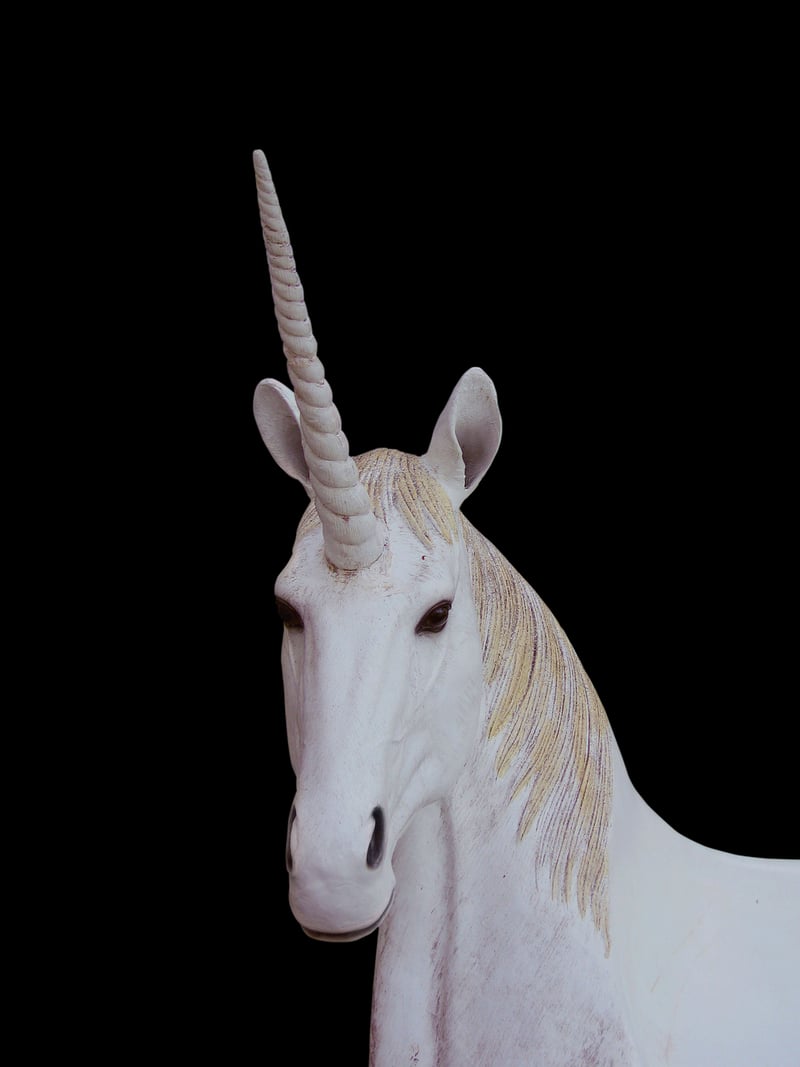 Unicorn Treats